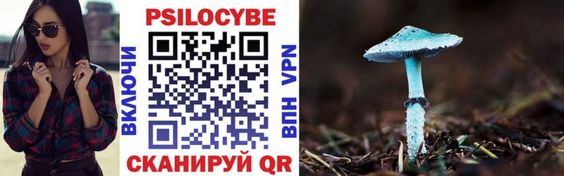 Галлюциногенные грибы MAGIC MUSHROOMS  Купить  Нефтекумск 
